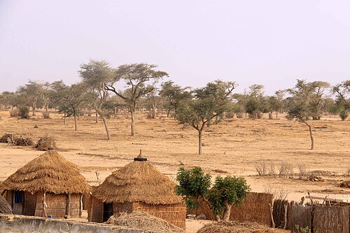 Landschaft in Senegal, panorama presahariano