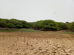 Landschaft in Senegal, dried up freshwater spring popenginne nature reserve