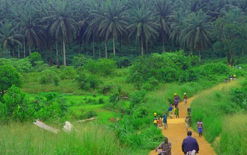 Landschaft in Sierra Leone, road