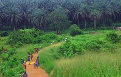 Landschaft in Sierra Leone, mount bintumani or