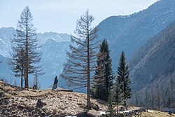 Landschaft in Slowenien