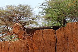 Landschaft in Somalia