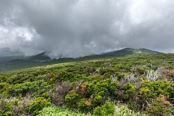 Landschaft in Südkorea