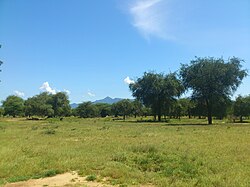 Landschaft in Südsudan, new kenya panoramio