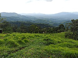 Landschaft in Sri Lanka, bellewood