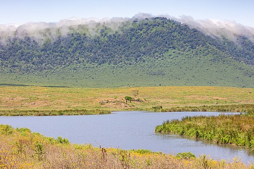 Landschaft in Tansania