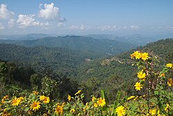 Landschaft in Thailand, mae hong son forest hills
