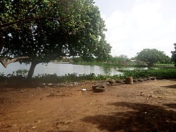 Landschaft in Togo, environnement kodomé lomé