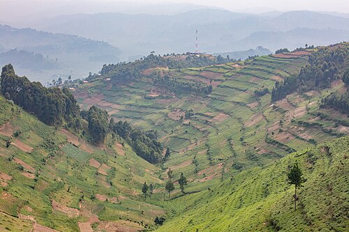 Landschaft in Uganda, paisaje en ruhija rubanda dd