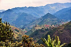 Landschaft in Uganda, after rainforest