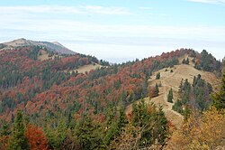 Landschaft in Ukraine, carpathians