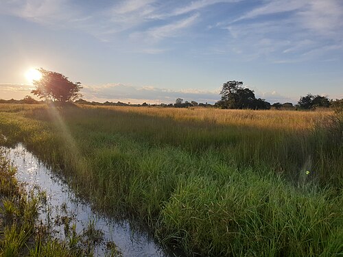 Landschaft in Sambia, afternoon
