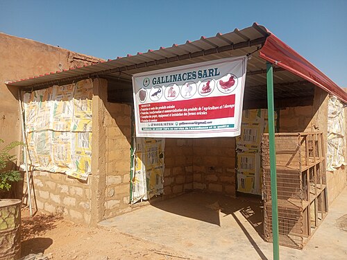 Der Fluss Niger, ferme gallinacés sarl tahoua