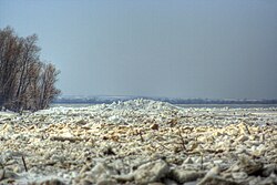 Der Fluss Ob, icedamob